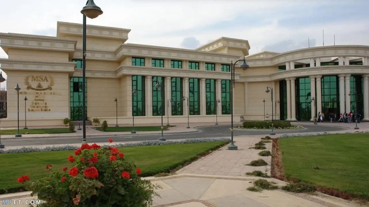 مصاريف جامعة مصر الدولية