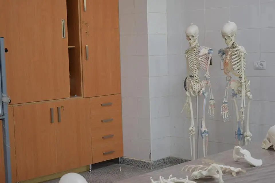 مصاريف كليات جامعة ميريت للعام الدراسي 2025