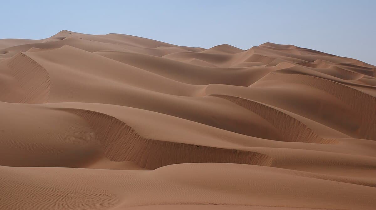 الأنشطة المتوفرة أثناء السفاري