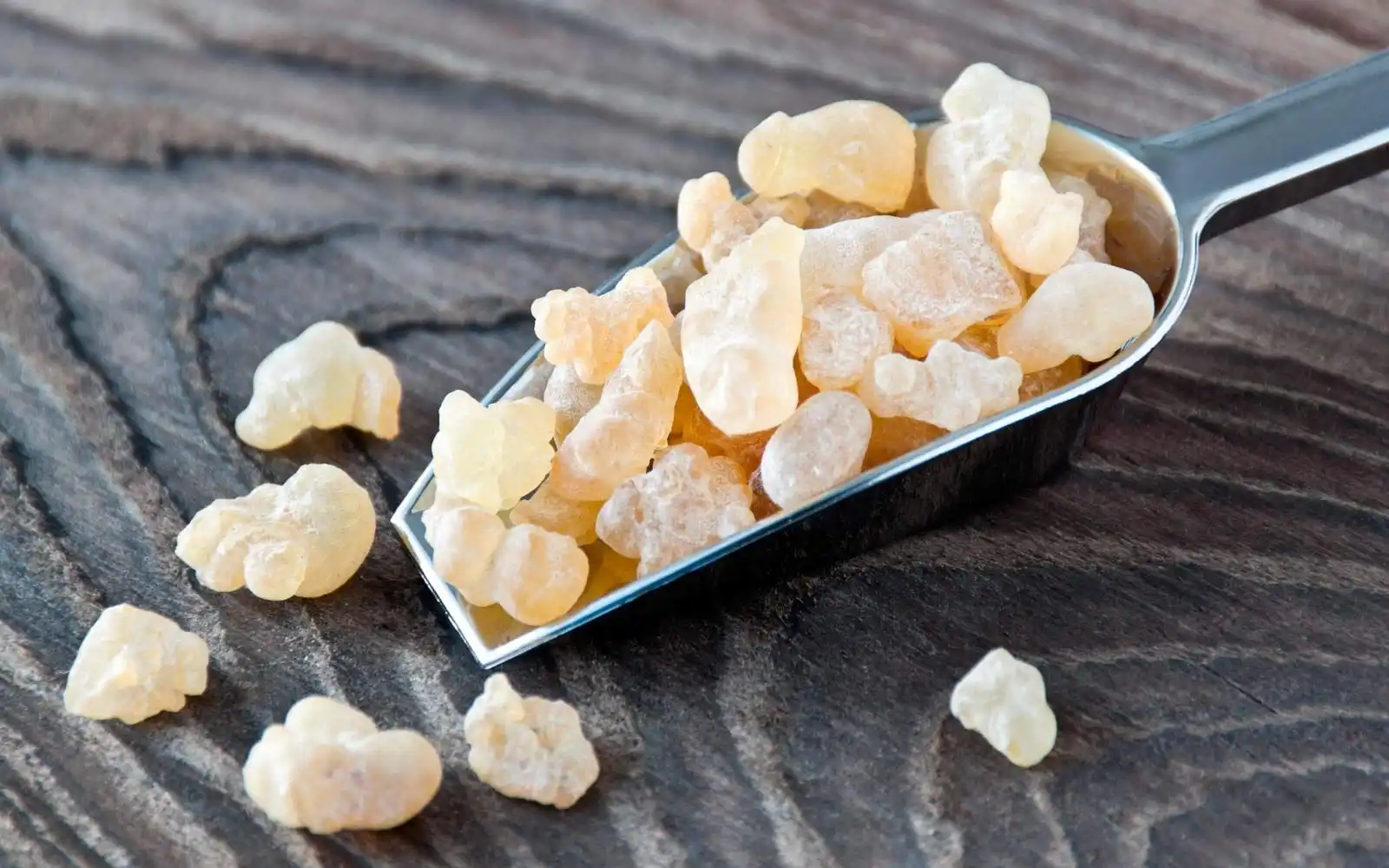  أسعار المستكة اليوم 