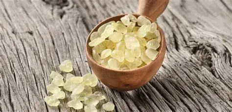  أسعار المستكة اليوم 