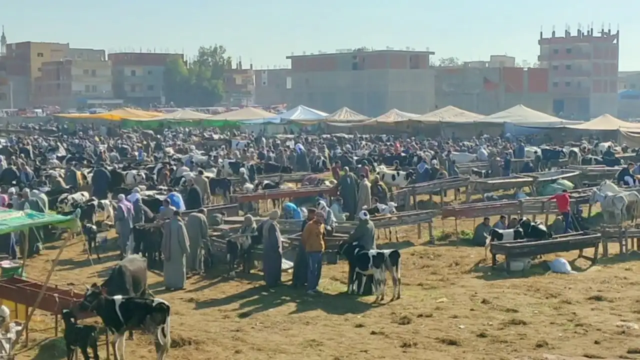 أسواق المواشي والأغنام