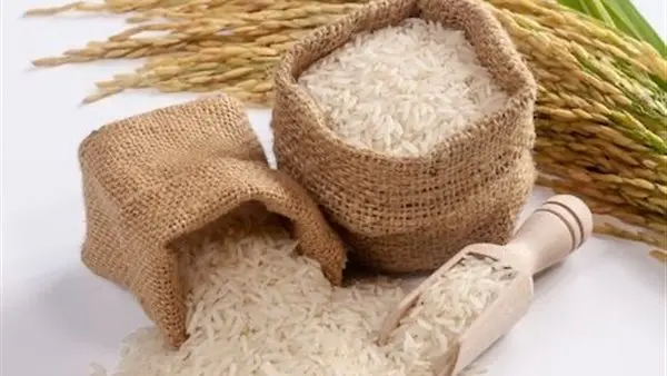 سعر طن الارز الشعير اليوم