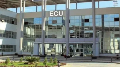 مصاريف وتنسيق كليات الجامعة المصرية الصينية