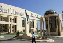 مصاريف جامعة سيناء