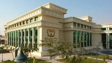 مصاريف وتنسيق كليات جامعة سفنكس