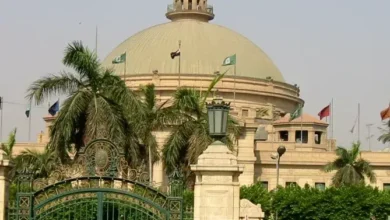 دراسة الدكتوراه في جامعة القاهرة للمصريين