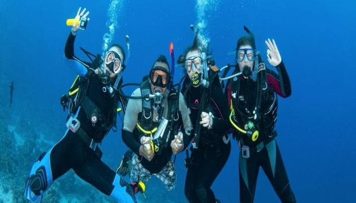 تكاليف رحلات الغوص في البحر الاحمر 2025