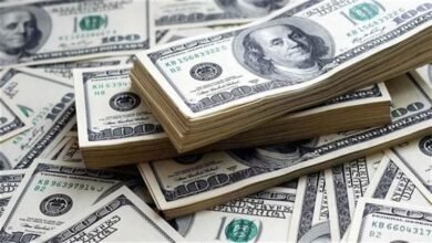 اسعار الدولار امام الجنيه المصري في السوق السوده 2025
