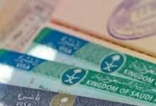 أسعار تأشيرات السياحة الإلكترونية في السعودية 2025