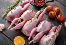 سعر السمان اليوم