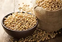 سعر فول الصويا اليوم