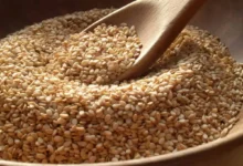 سعر كيلو السمسم