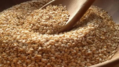 سعر كيلو السمسم