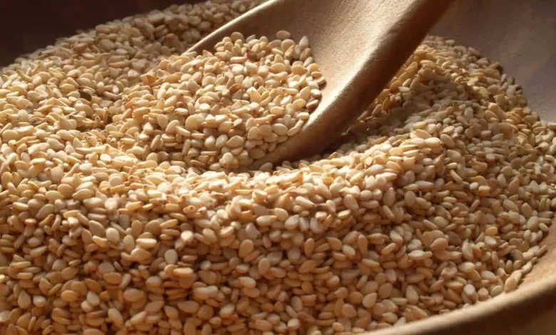 سعر كيلو السمسم