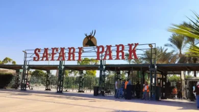 أسعار تذاكر سفاري بارك