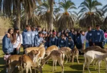 سعر تذكرة أفريكانو بارك الإسكندرية