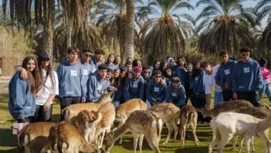 سعر تذكرة أفريكانو بارك الإسكندرية