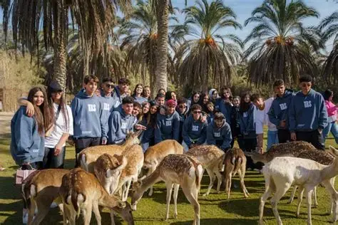 سعر تذكرة أفريكانو بارك الإسكندرية