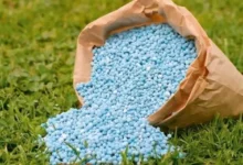 أسعار الأسمدة الزراعية اليوم في مصر