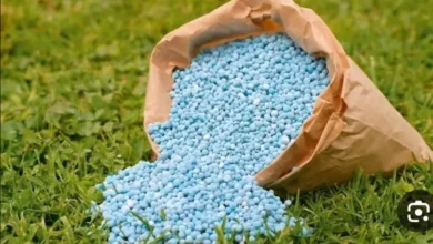 أسعار الأسمدة الزراعية اليوم في مصر