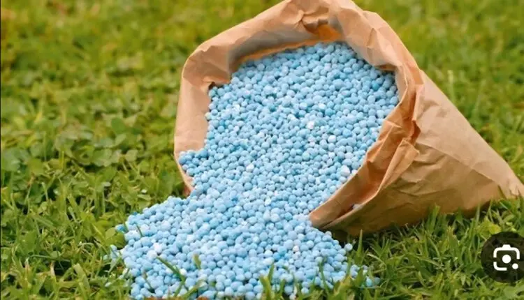 أسعار الأسمدة الزراعية اليوم في مصر