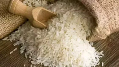 سعر شيكارة الأرز 25 كيلو اليوم