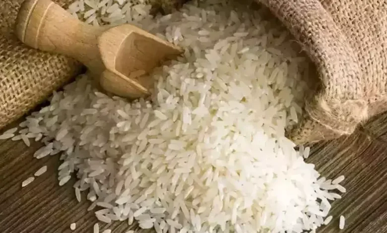 سعر شيكارة الأرز 25 كيلو اليوم