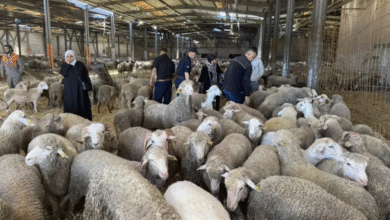 منصة تسجيل أضحية العيد 2026