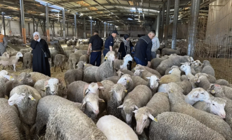 منصة تسجيل أضحية العيد 2026